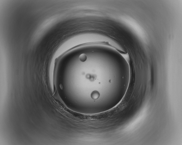 X0000116350387200912091134