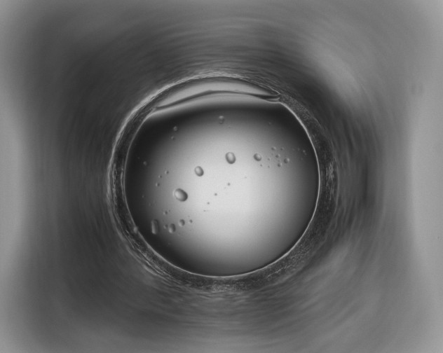 X0000116350388200912091134