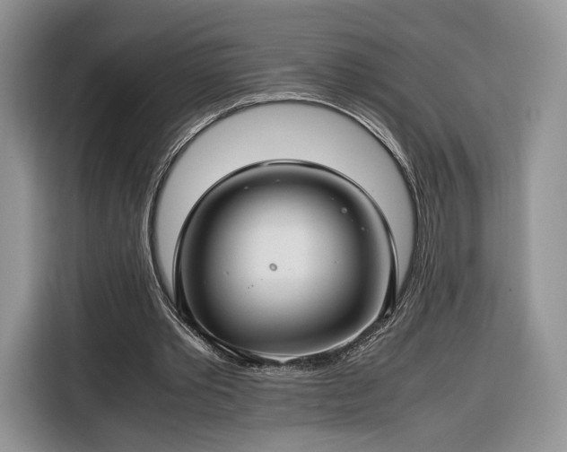 X0000116350389200912091134