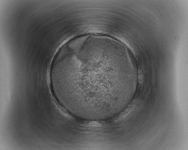 X0000116350390200912091134