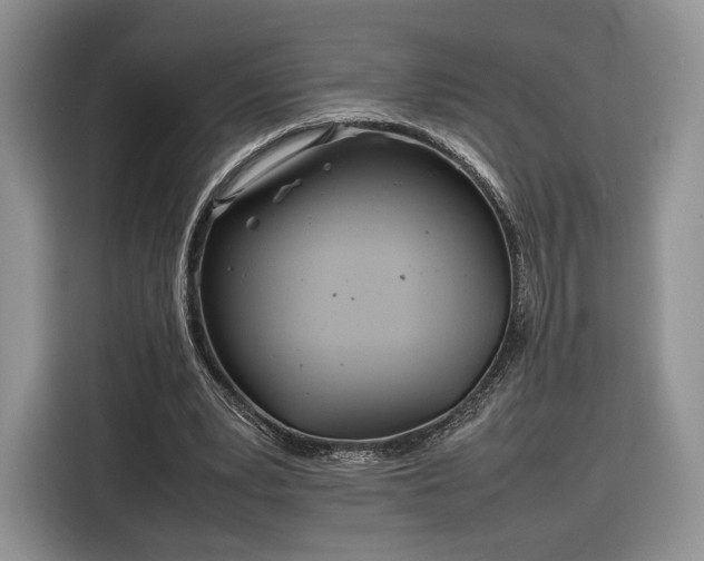 X0000116350391200912091134