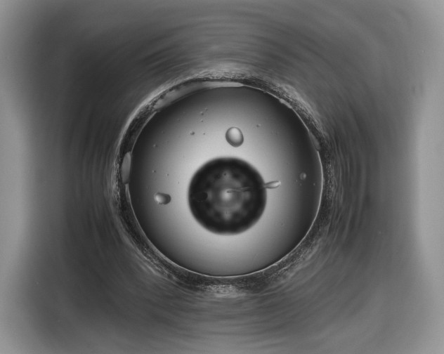 X0000116350392200912091134