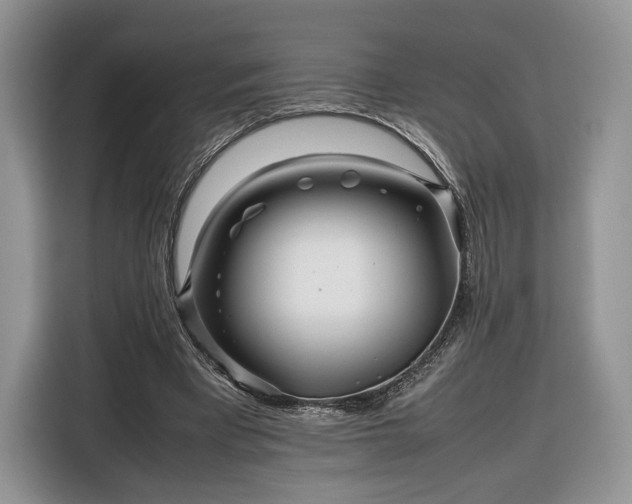 X0000116350393200912091134