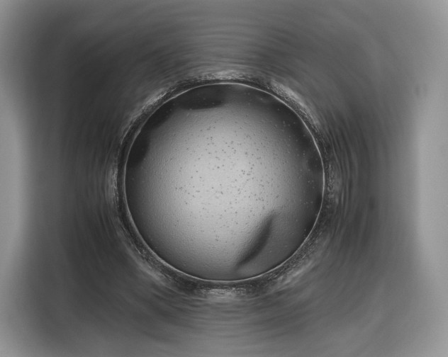 X0000116350394200912091134