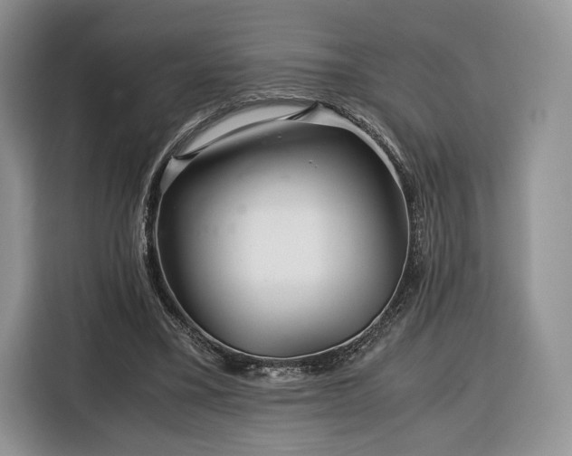 X0000116350395200912091134