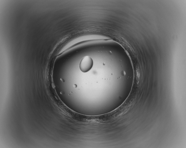 X0000116350396200912091134