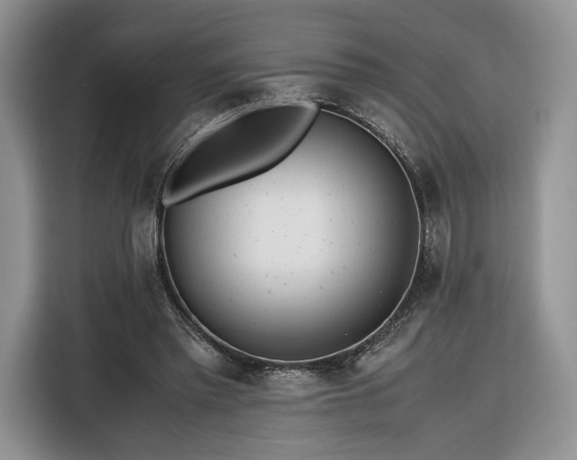 X0000116350397200912091134