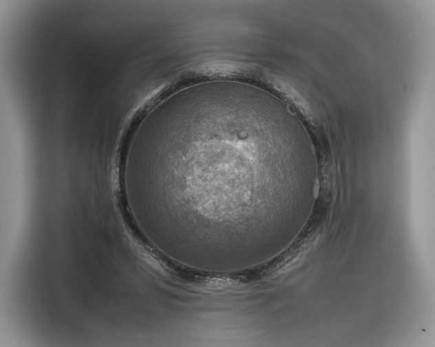 X0000116350399200912091134