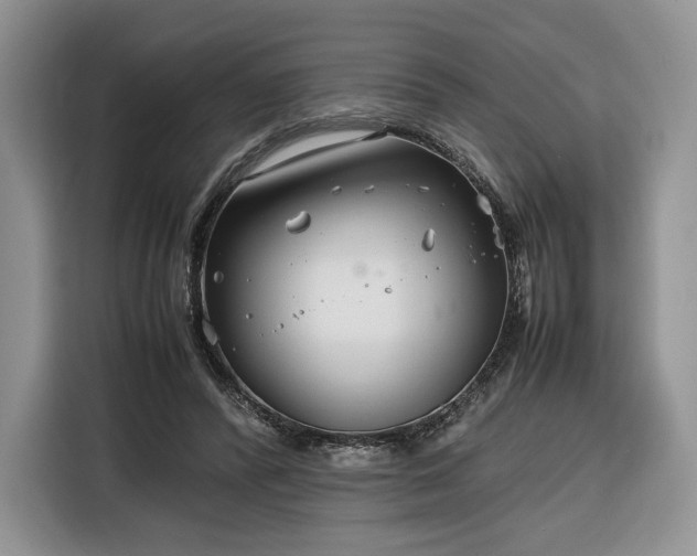 X0000116350400200912091134