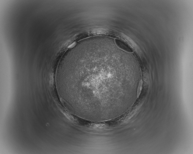 X0000116350401200912091134