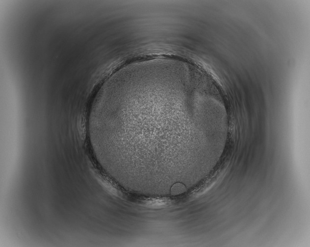 X0000116350402200912091134