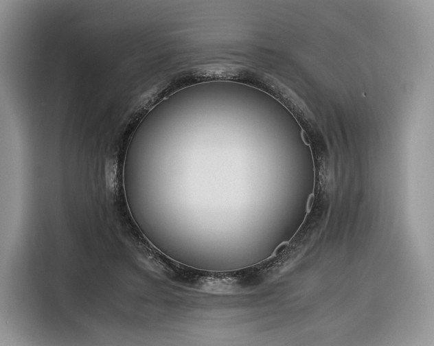 X0000116350403200912091134