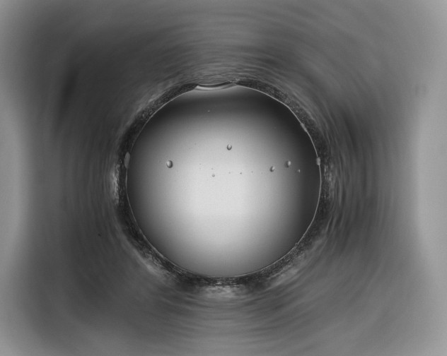 X0000116350404200912091134