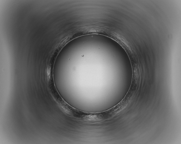 X0000116350406200912091134