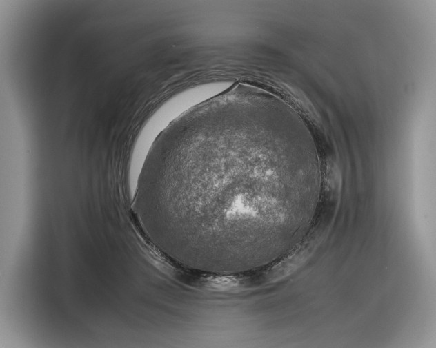 X0000116350409200912091134