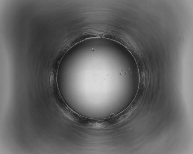 X0000116350412200912091134