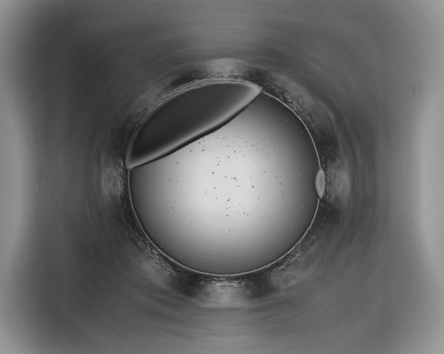 X0000116350413200912091134