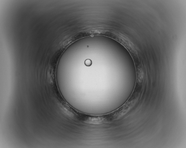 X0000116350414200912091134