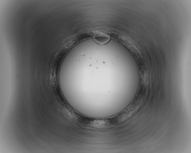 X0000116350418200912091133