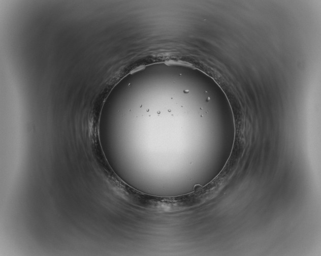 X0000116350420200912091133