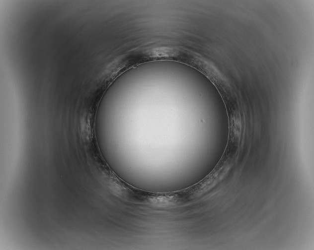 X0000116350422200912091133