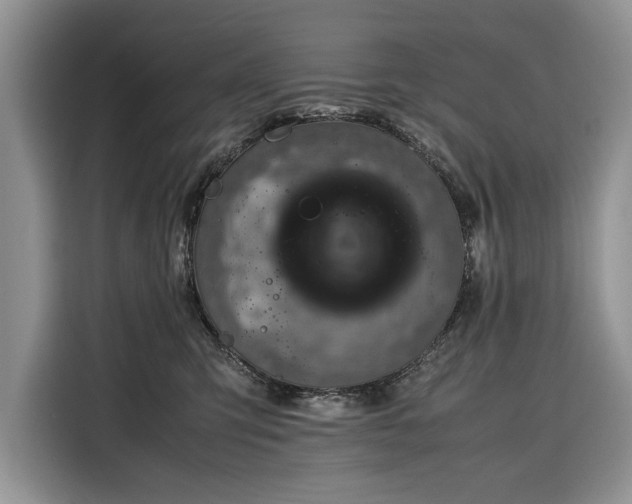 X0000116350423200912091133