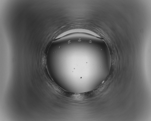 X0000116350425200912091133