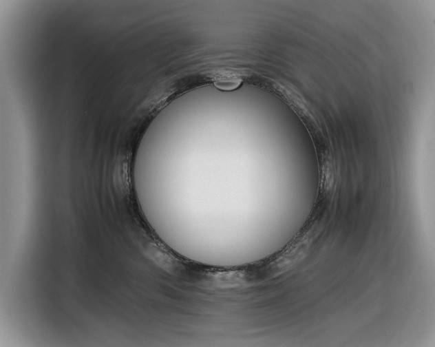 X0000116350426200912091133