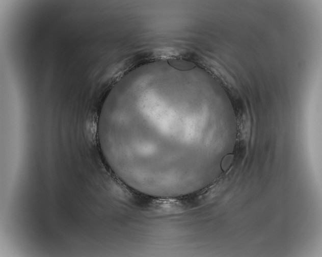 X0000116350427200912091133