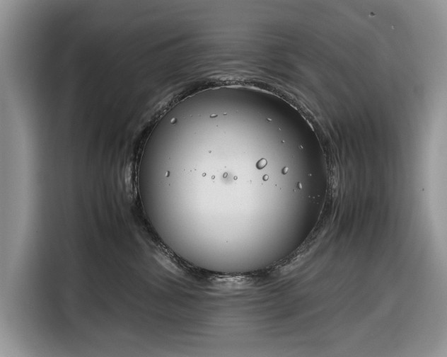 X0000116350428200912091133