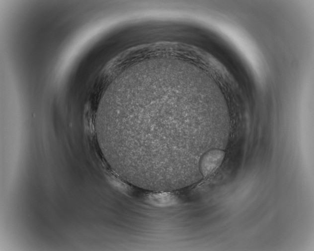 X0000116350431200912091133