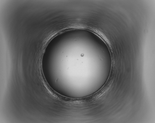 X0000116350433200912091133