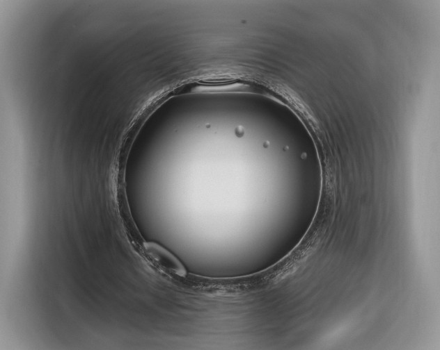 X0000116350434200912091133