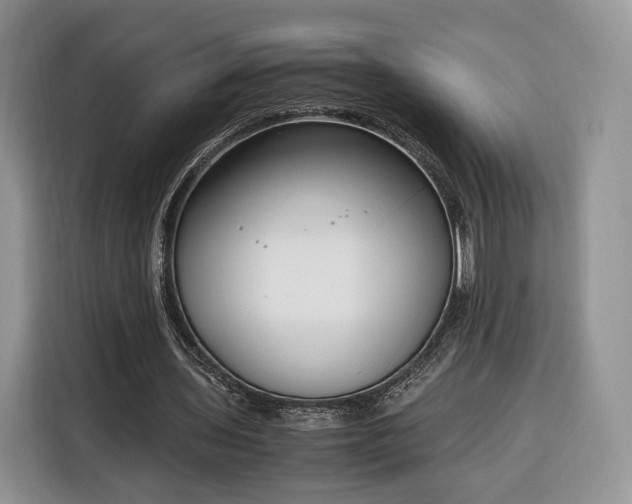 X0000116350435200912091133