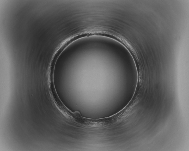 X0000116350438200912091133