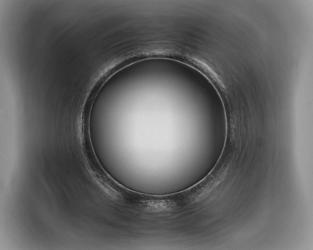 X0000116350439200912091133