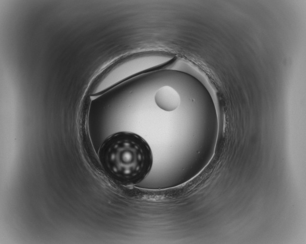 X0000116350440200912091133