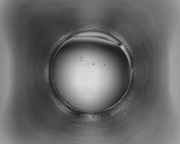 X0000116350442200912091133