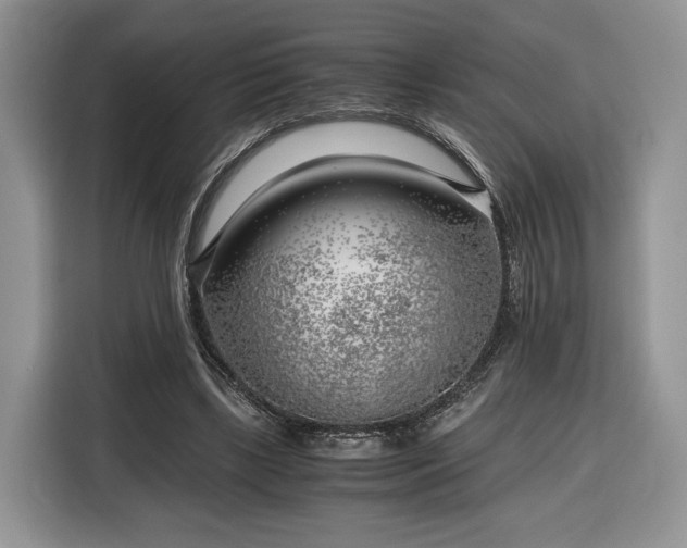 X0000116350443200912091133