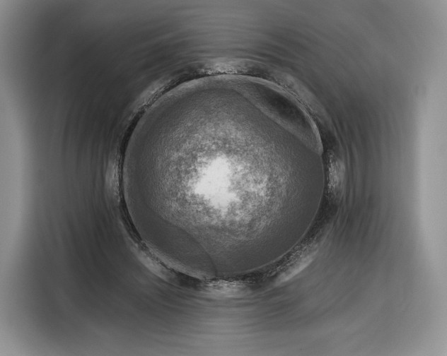 X0000116350444200912091133