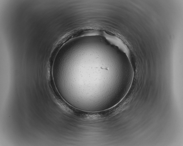 X0000116350446200912091133