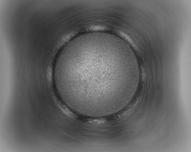 X0000116350447200912091133