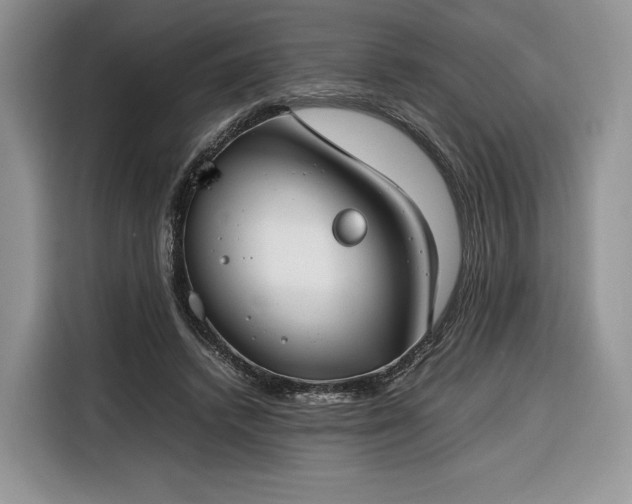 X0000116350448200912091133