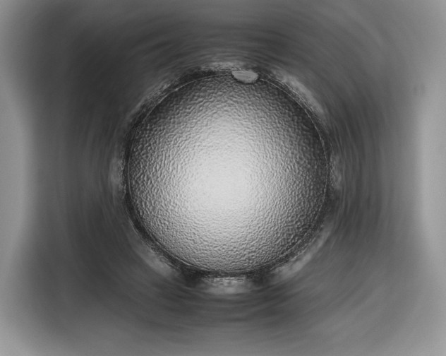 X0000116350449200912091133