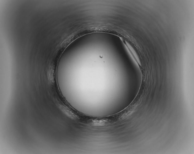 X0000116350450200912091133