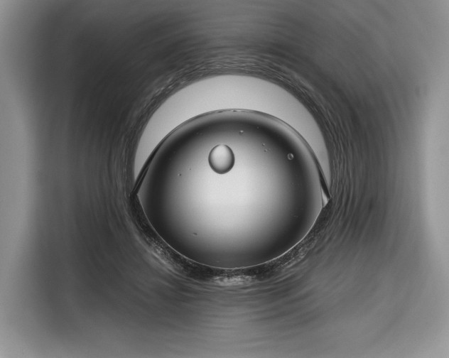 X0000116350452200912091133