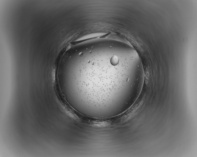 X0000116350454200912091133