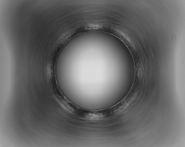 X0000116350455200912091133