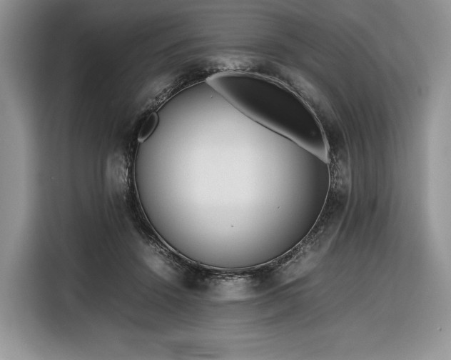 X0000116350456200912091133