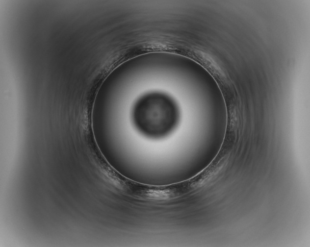 X0000116350457200912091133